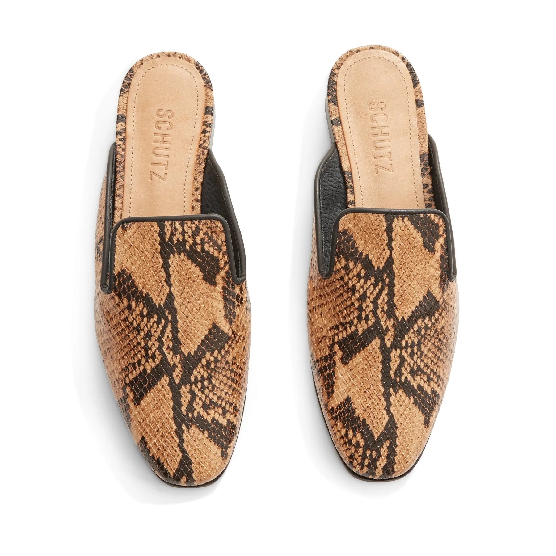 Claudia Mule