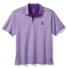 Northwestern Wildcats Men's Tommy Bahama Light Purple Polo